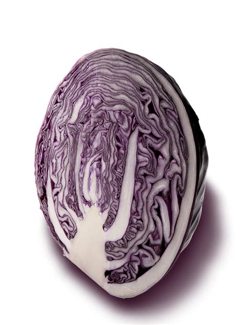 Demi Chou Rouge Red Cabbage Cut In Half Photograph By Studio