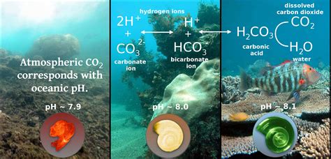 Un Atlas Of The Oceans Subtopic