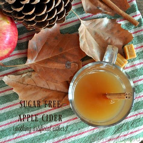 The best apple cider vinegar recipes on earth clinic, your source for home remedies! Sugar free Apple Cider Recipe (no artificial sweeteners ...