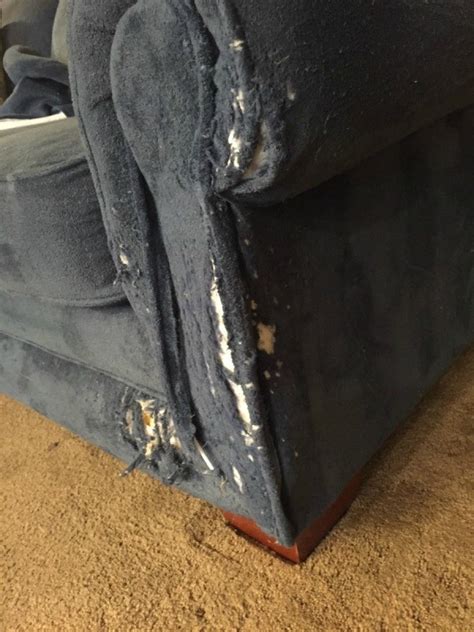 The patches can also be cut so that they perfectly fit the stain, scratch or worn spot you're trying to repair. Repairing a Cat Scratched Couch | ThriftyFun