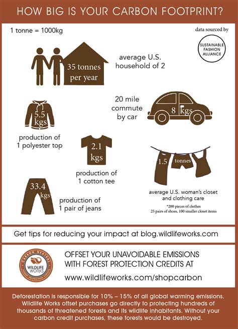11 Ways to Reduce Your Carbon Footprint - Wildlife Works Blog
