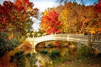 PHOTOS: l'automne à Central Park nous donne envie de foncer à New York