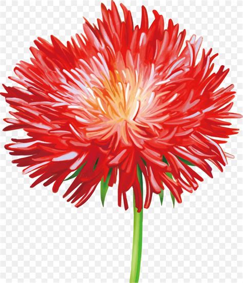 Flower Drawing Stock Photography Euclidean Vector Png 1044x1216px