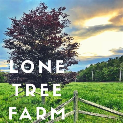 Lone Tree Farm Rochester Ma