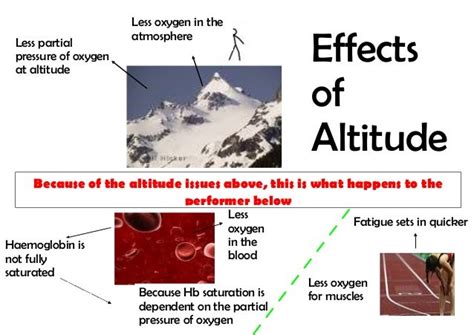 Effects Of Altitude