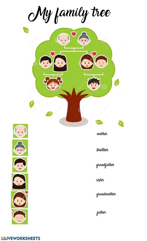We would like to show you a description here but the site won't allow us. My family tree interactive worksheet