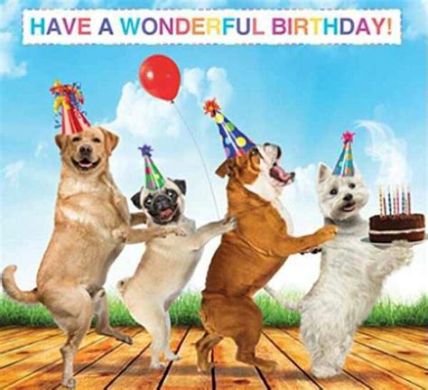 Pin By Jennifer Cooper On Greeting Cards Happy Birthday Dog Meme