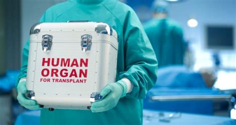 Organ Transplantation Laws In India Overview And Analysis