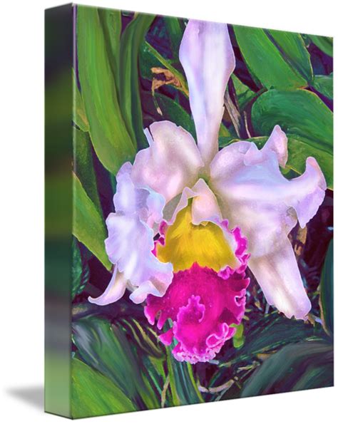 Tropical Orchid By Jane Schnetlage
