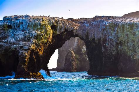 Explore Californias Channel Islands National Park By Kayak