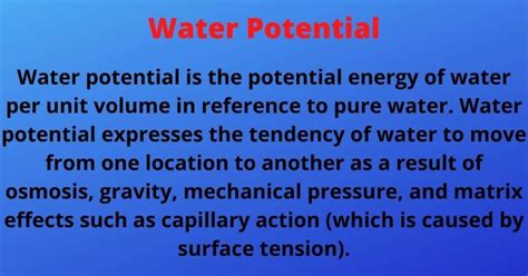 Water Potential Real Life Examples Whats Insight