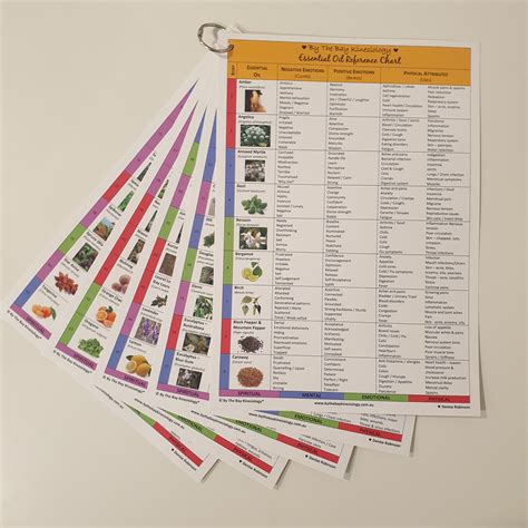 Essential Oil Reference Chart Etsy