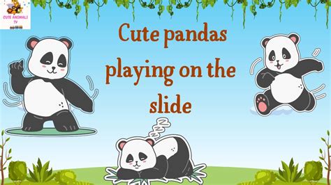 Pandas Playing On The Slide Youtube