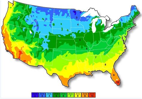 Us Planting Zone Map