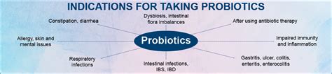 Custom Probiotics Highest Potency Probiotic Supplement