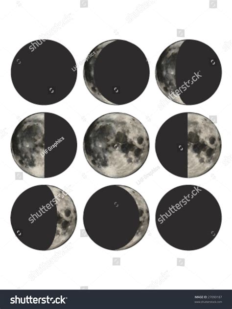 Phases Moon Vector Illustration Based On Stock Vector 27090187