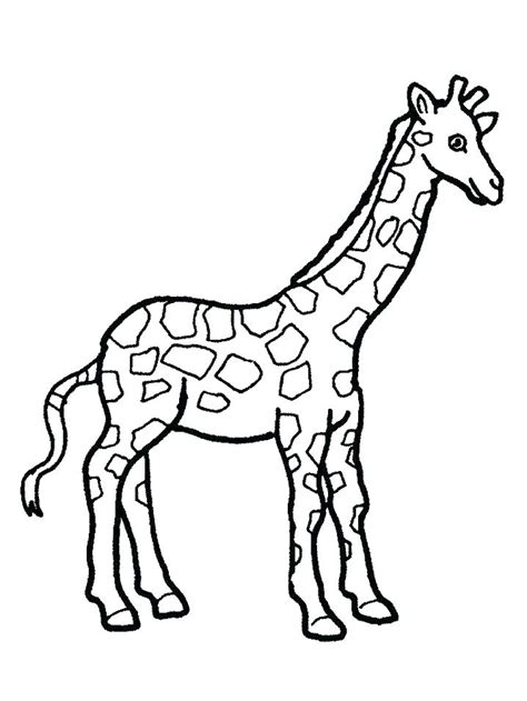 Cute Baby Giraffe Coloring Pages At Getcolorings Free Printable