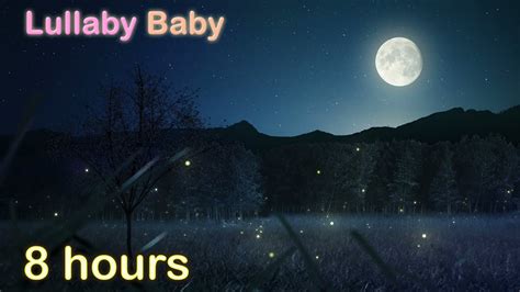 8 Hours Lullabies ♫ Baby Sleep Music ♫ Lullabies For Babies To Go To