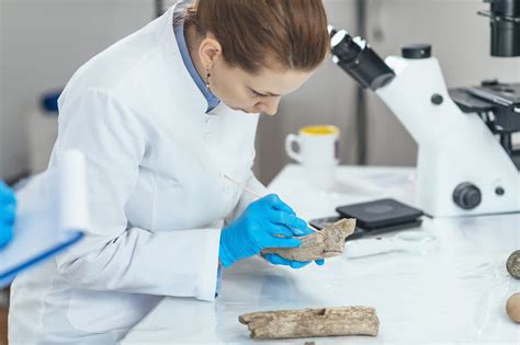 What Is A Forensic Anthropologist