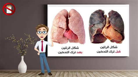 والزيوت والتي تسبب اضرار كثيرة للإنسان. #اضرار التدخين على صحة الانسان - YouTube