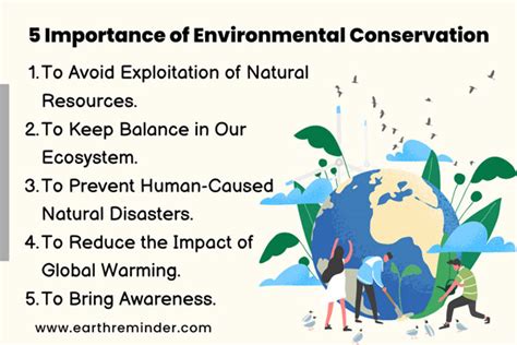 5 Major Importance Of Environmental Conservation Earth Reminder