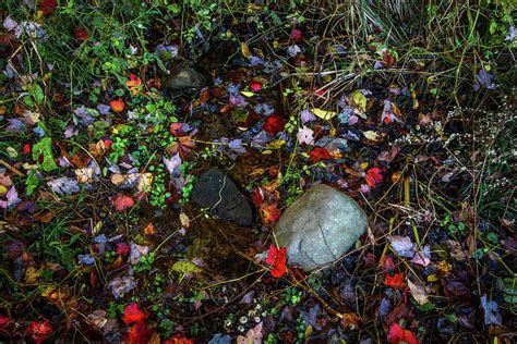 Autumn Rock Photograph By Wayne Maris