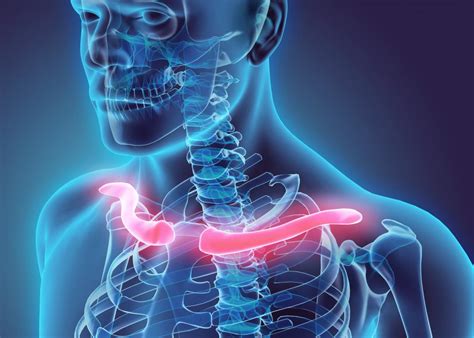 What Causes Pain In Collar Bone Cares Healthy