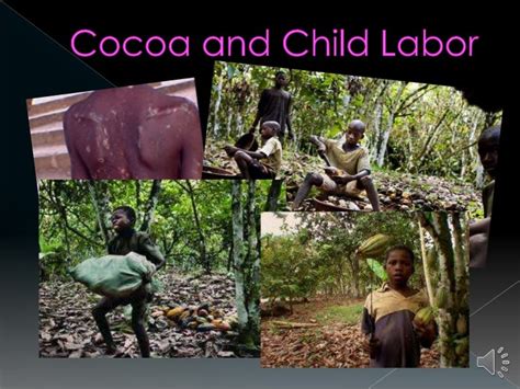 Cocoa And Child Labor Final Project
