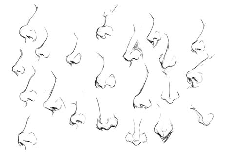 Practice: Noses, Figures, and Motivation | Nose drawing, Anime nose gambar png