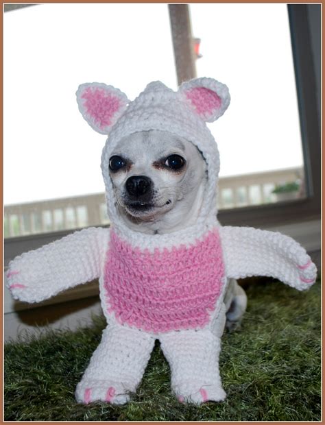 Posh Pooch Designs Dog Clothes Walking Bear Dog Costume Crochet