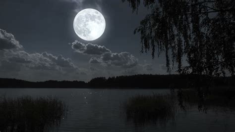 Nature Full Moon Night Landscape With Forest Lake Stock