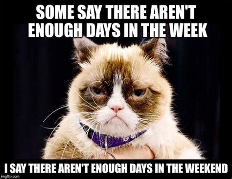 Grumpy Weekend Funny Grumpy Cat Memes Grumpy Cat Humor Grumpy Cat Meme