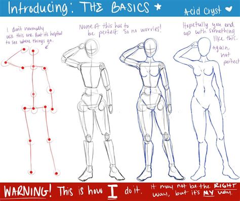 The Basics By Whitneycook Human Body Drawing Human Figure Drawing