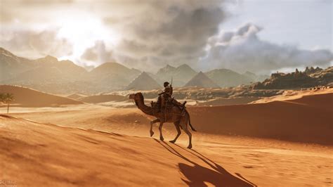 2560x1440 Camel Assassins Creed Origins 8k 1440p Resolution Hd 4k