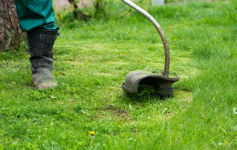 Check spelling or type a new query. Gas vs Electric Trimmers For Lawn Care Pros - The Lawn Solutions