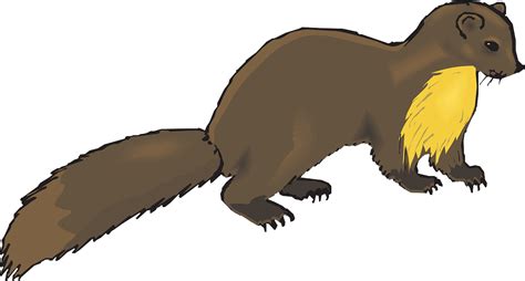 Otter Clipart At Getdrawings Free Download