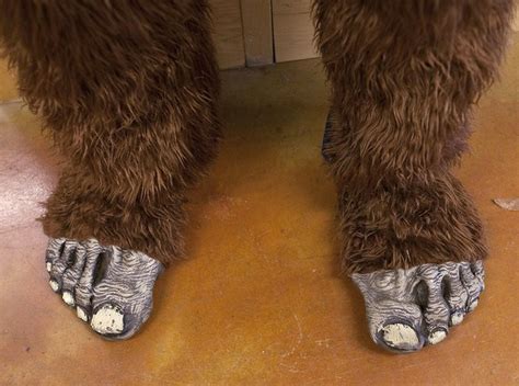 Bigfoot Caught On Camera Pennsylvania Sightings Pennlive Com