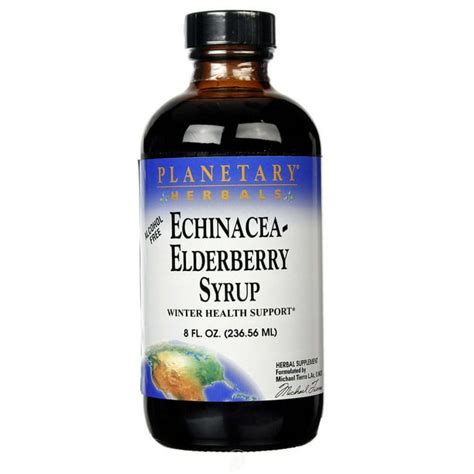 Planetary Herbals Echinacea Elderberry Syrup 8 Fl Oz Pack Of 2