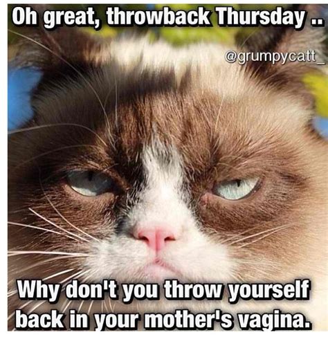 Grumpy Cat Throw Back Thursday Funny Pinterest Cats Wells And