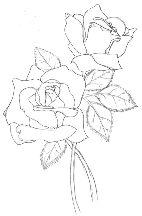 Simple Elegance Find The Perfect Rose Outline Graphics For Your Design