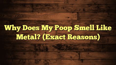 Why Does My Poop Smell Like Metal Exact Reasons Discover Answer