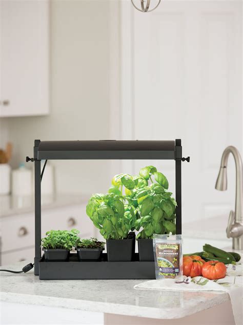 Indoor Organic Herb And Microgreens Growing Kit