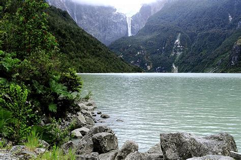 Recorriendo Los Bosques Del Sur De Chile Blog Cecinas Llanquihue