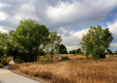 Path Through Meadow With Trees Picture Free Photograph Photos