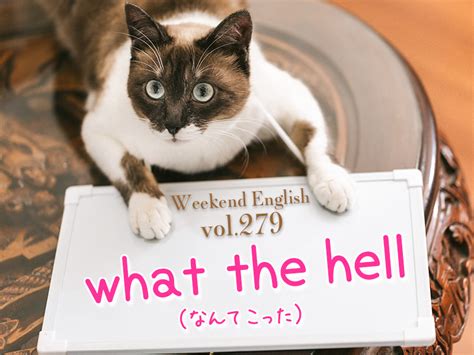 【週末英語279】「what The Hell（なんてこった）」は感情が昂った時に使うフレーズ。やや丁寧にいうなら「what On Earth」 てふてふさんぽ