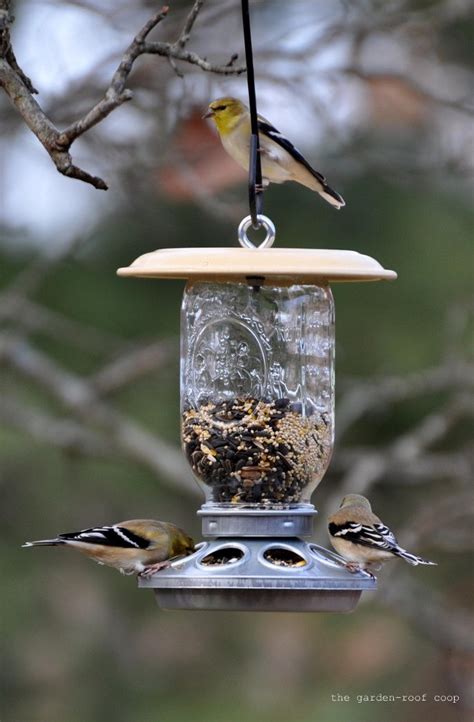 Maybe you would like to learn more about one of these? DIY Chick Feeders / Bird-Feeders | Community Chickens