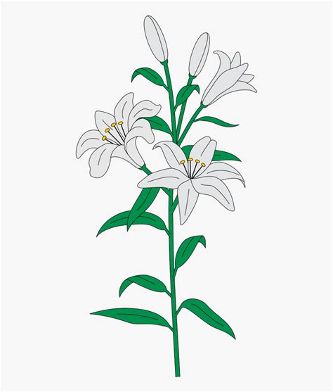 Lilies Svg , Free Transparent Clipart - ClipartKey