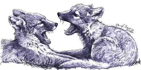 Wolves Fighting Drawing At Getdrawings Free Download