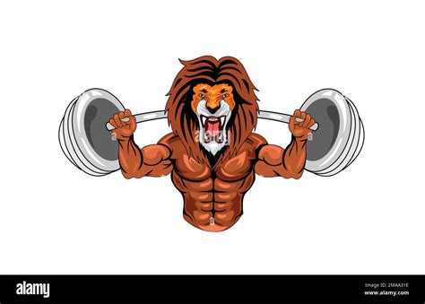 Lion Bodybuilding Mascots Vector Illustration Stock Vector Image And Art