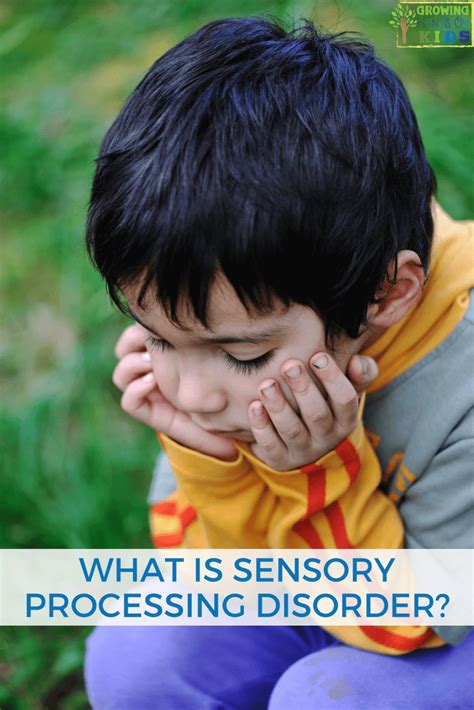 What Is Sensory Processing Disorder For Parents Educators And
